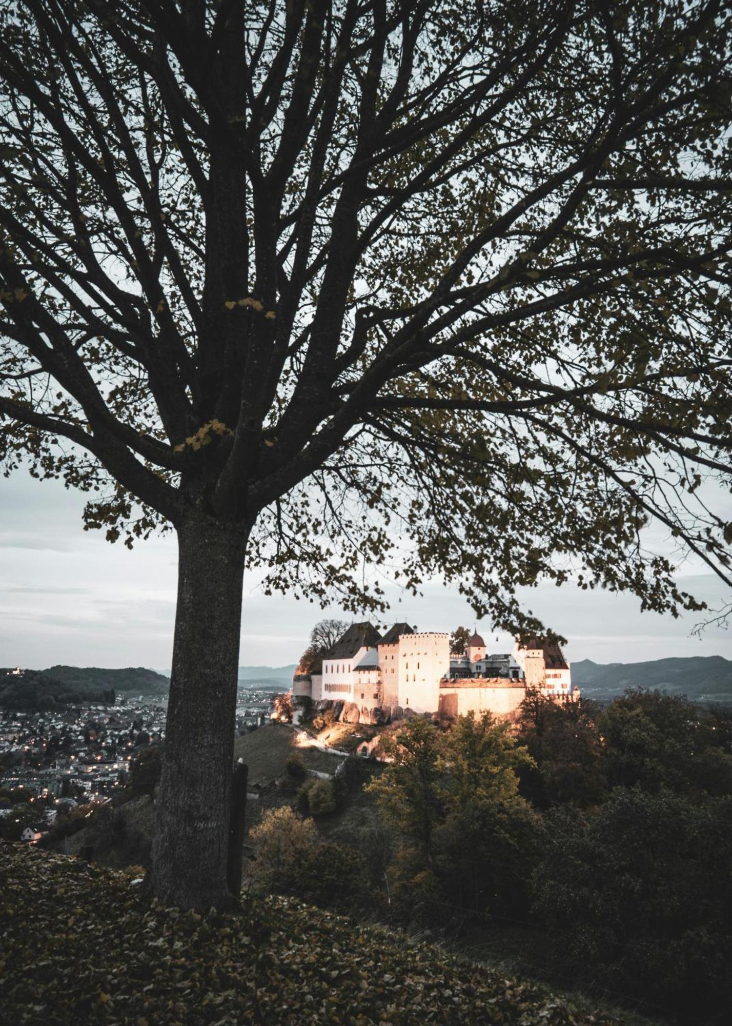 Villa Musica - Studio, Ruhig, Diskret,Mit Grossem Privatem Sitzplatz Lenzburg Exteriér fotografie